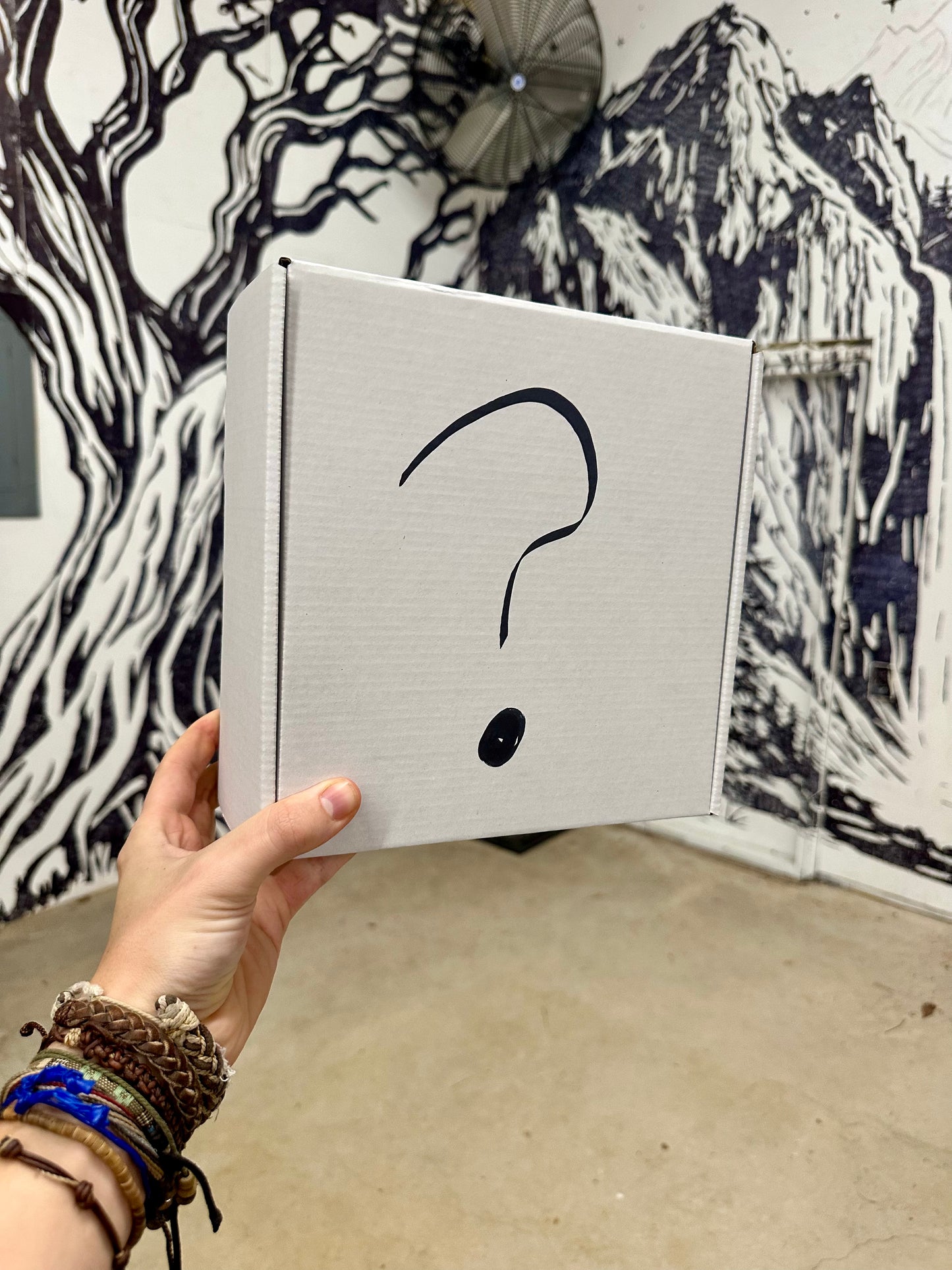 5 Disc Discmania Mystery Box - Alden Harris Edition