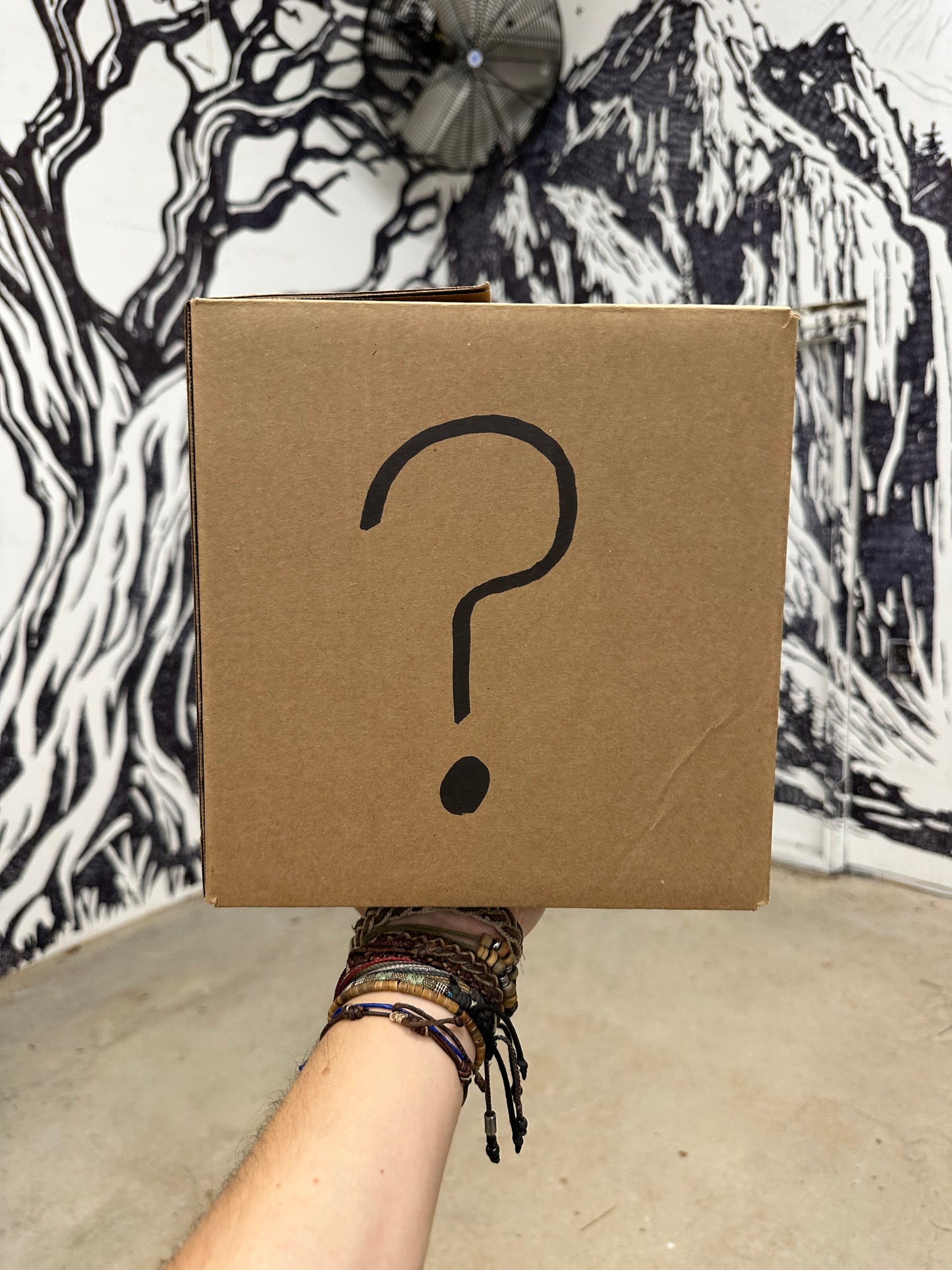 8 Disc Discmania Mystery Box - Alden Harris Edition
