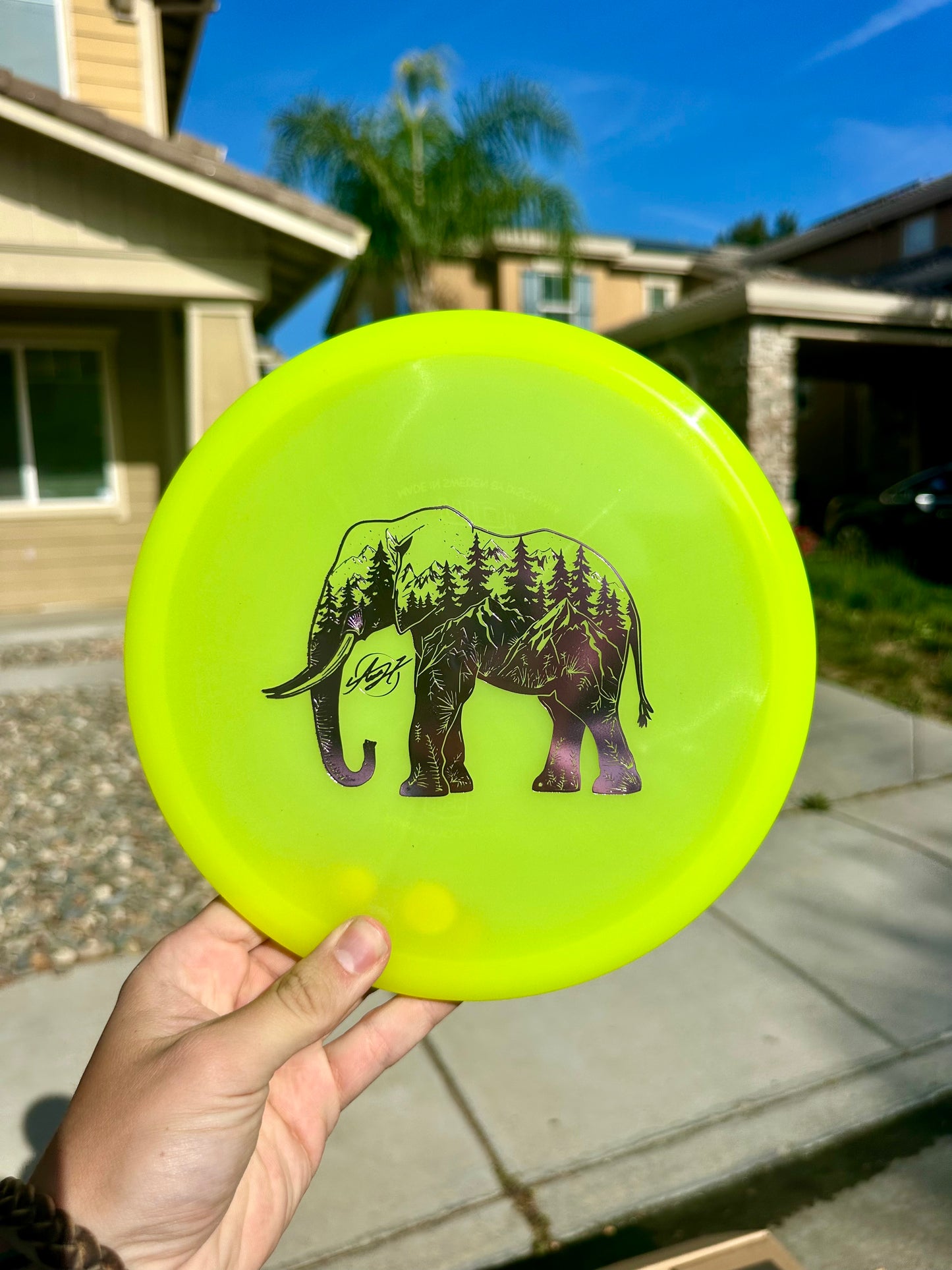 MD1 - Color Glow - Elephant Stamp