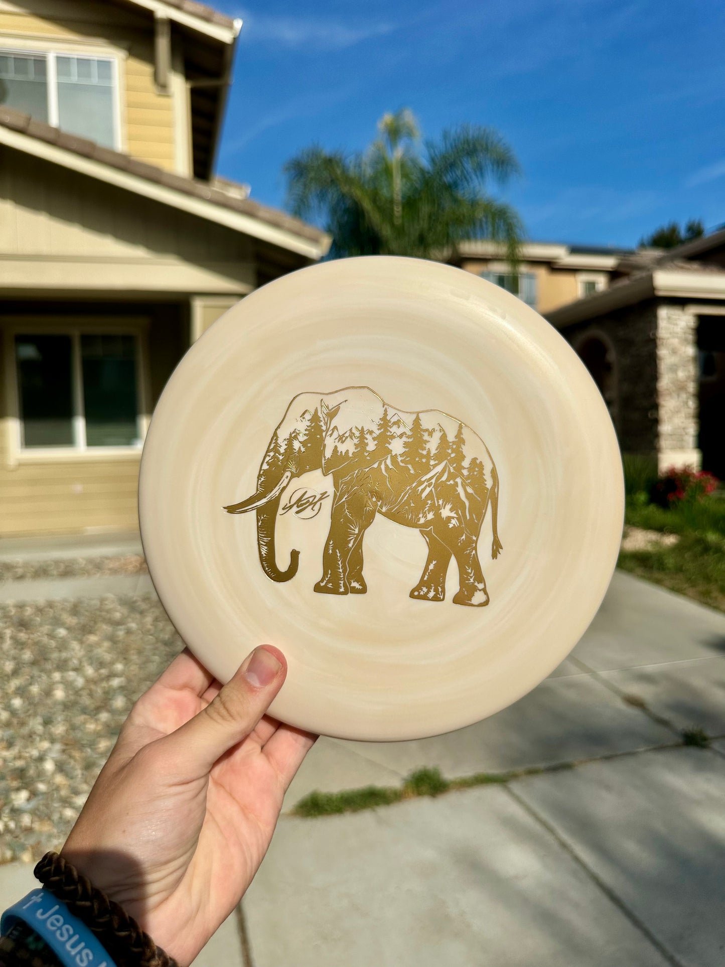 P1X - Flex 2 Swirl D-Line - Elephant Stamp